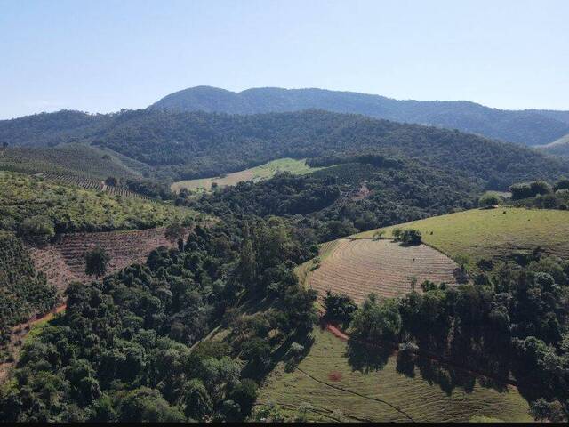 #401 - Sítio para Venda em Santa Rita do Sapucaí - MG - 3