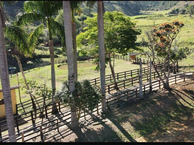 Sítio para Venda em Santa Rita do Sapucaí - 4