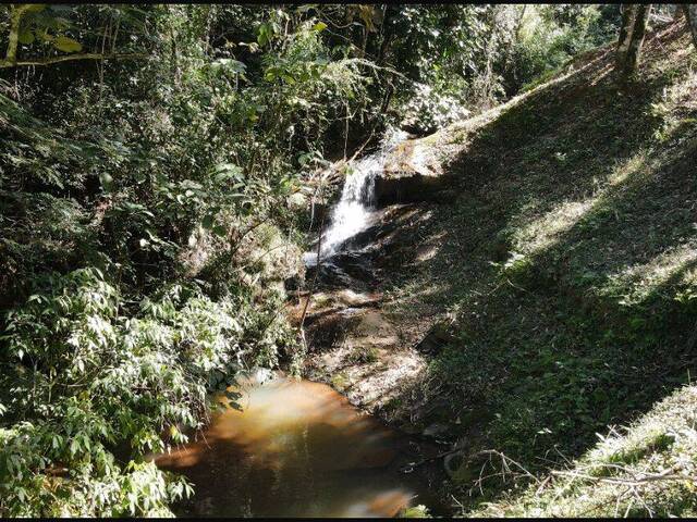 Sítio para Venda em Santa Rita do Sapucaí - 5