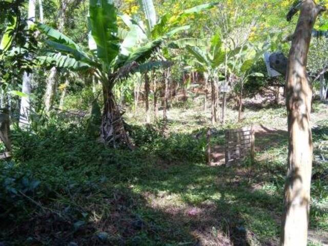 Terreno para Venda em Ubatuba - 5